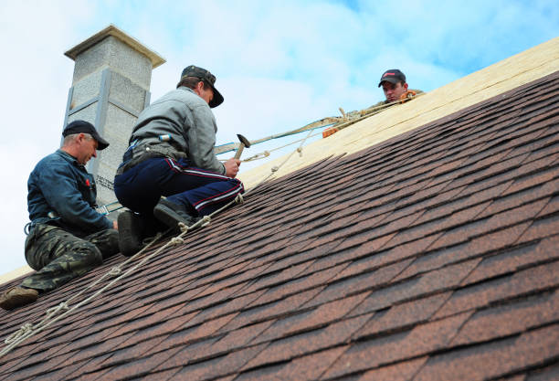 Best Roof Leak Repair  in Valenti, NE